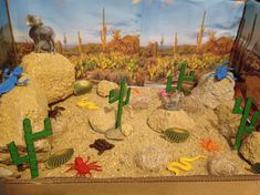 Piedras, arena, cactus de madera desierto Desert Habitat Diorama, Desert Project For School, Desert Habitat Projects For Kids, Desert Biome Project Ideas, Desert Ecosystem Project