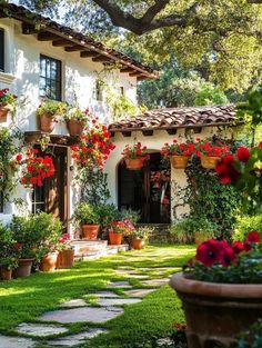 a white house with red flowers on the windows and plants in potted pots outside