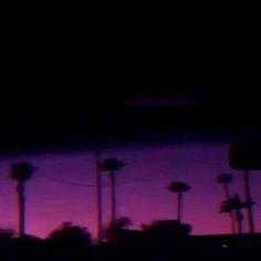 palm trees are silhouetted against a purple sky