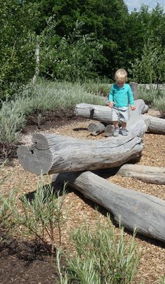 a little boy standing on top of a wooden log