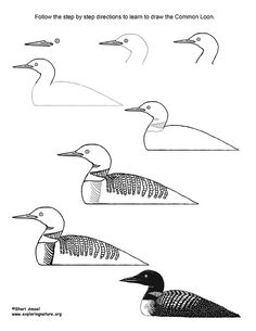 three ducks are shown in black and white with the words follow the steps by directions to learn