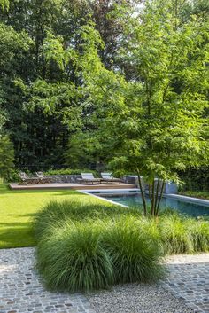 an outdoor area with grass and trees in the foreground, surrounded by stone pavers