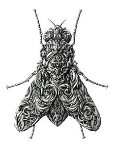 a black and white drawing of a bug with intricate designs on it's wings