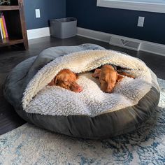 two dogs laying in a dog bed on the floor