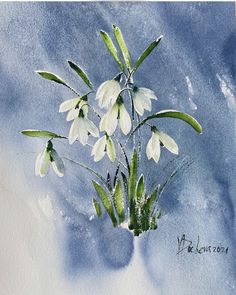 a watercolor painting of snowdrops on a blue background