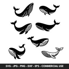 whale silhouettes in black and white with the words svg png dxf eps