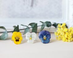 "Real pansy ring made from a real flower that picked up from my garden. This pansy resin ring is part of my pansy jewelry collection. 925 sterling silver ring is adjustable. Size: US 5-10 Pressed pansy jewelry to see you beautiful and luminous in this spring that is already here! Flower head size approx. 0.78\"-1\" long. Matching earrings: https://www.etsy.com/listing/1187685948 Matching necklace: https://www.etsy.com/listing/1204398699 Unique present for your loved one! It comes in kraft gift b Pansy Jewelry, Pansy Ring, Ring Resin, Kraft Gift Boxes, Resin Ring, Resin Flowers, Unique Presents, Matching Necklaces, Flower Ring