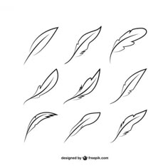 an image of feathers drawn in black and white