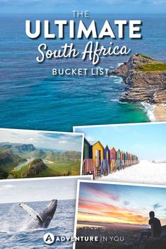 the ultimate south africa bucket list with pictures of people and animals on it, including an image