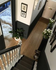 a staircase with pictures on the wall and potted plants in vases next to it