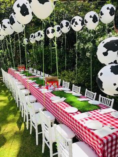 an image of a table set up for a farm birthday party with balloons and soccer balls