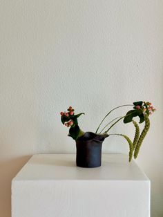 two small flowers in a black vase on a white box against a plain, white wall