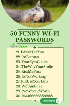 Get ready to giggle with our '50 Funny Wi-Fi Passwords'! Discover hilarious, quirky, and outright funny wifi passwords ideas that will leave your friends in stitches. Not just funny, these wifi password names are creative and unique, perfect to give your network a comical twist. From best wifi passwords ideas that are witty to wifi password ideas that are funny and awesome, we've got it all covered! So why wait? Dive into our list and find your perfect funny wifi names and passwords ideas today! Pin Password Ideas, Wifi Password Ideas, Clever Wifi Names, Password Ideas, Slow Wifi, Funny Wifi Names, Fine Hair Tips, Funny Text Memes, Good Passwords