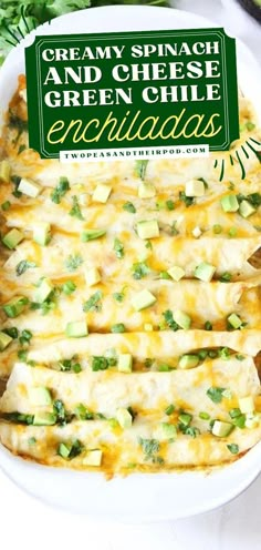 This Creamy Spinach and Cheese Green Chile Enchiladas are the best appetizer recipe! These vegetarian enchiladas are so satisfying and filling. Add this to your favorite delicious dinner recipes! Spinach Enchiladas Vegetarian, Spinach Enchiladas Verde, Weight Watchers Spinach And Cheese Enchiladas, Spinach And Cheese Enchilada Recipe, Spinach And Cream Cheese Enchiladas, Spinach Enchiladas Joanna Gaines, Enchilada Verde Recipe Vegetarian, Spinach Enchilada Casserole, Cream Cheese Green Chili Enchiladas