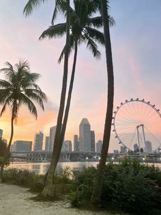 palm trees line the beach as the sun sets in front of a ferris wheel and cityscape