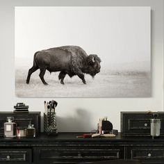 a black and white photo of a bison on the wall above a desk with drawers