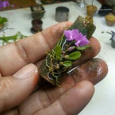 a hand holding a tiny plant with purple flowers