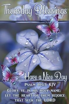 a blue flower with purple butterflies on it and the words, have a nice day