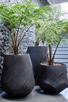 two large planters with plants in them on the ground next to a building wall