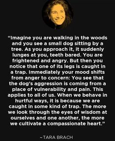 tara braich quote about walking in the woods