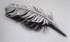 a black and white drawing of a feather