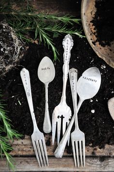 five spoons and two forks are sitting in the dirt next to some green plants