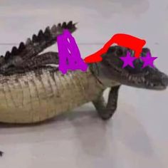 an alligator is shown with the number 4 on it's head and four stars in its mouth