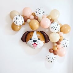 a dog head surrounded by balloons and other decorations on a white wall with a balloon border