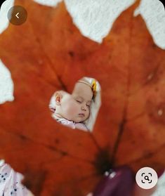 a baby is sleeping on top of a large orange leaf in the snow with her eyes closed