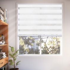 a room with a window, bookshelf and potted plant