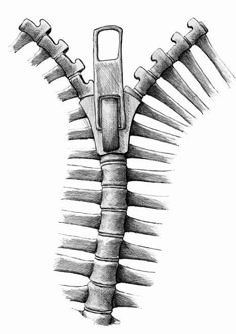 a drawing of the back of a human skeleton with multiple bones attached to each other