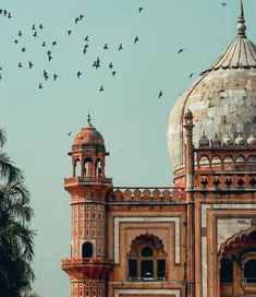 birds flying over an old building in india