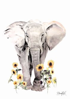 an elephant with sunflowers in the foreground and a white background behind it