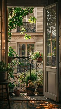 an open door leading to a balcony with potted plants