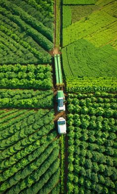 an aerial view of two trucks driving down a road in the middle of green fields