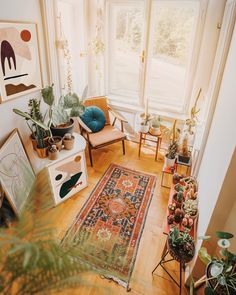 a living room filled with lots of plants next to a large window and a rug