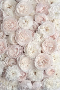 a bunch of white and pink flowers on display