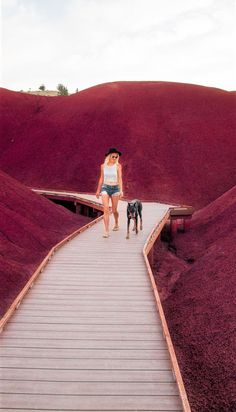 a woman and her dog walking down a wooden path in the middle of red hills