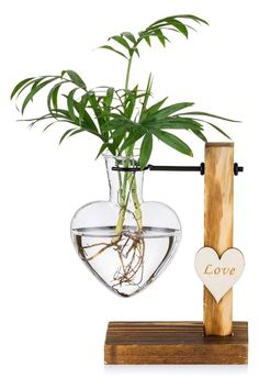 a potted plant in a glass vase with a wooden stand and heart shaped sign