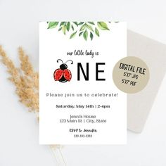 a ladybug birthday party card with the number one on it