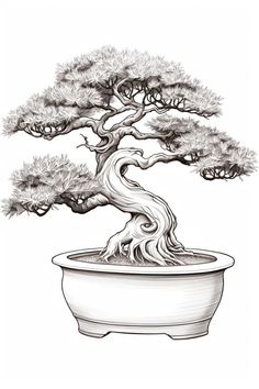 a drawing of a bonsai tree in a pot