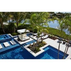 an outdoor swimming pool with lounge chairs and palm trees in the foreground, surrounded by greenery