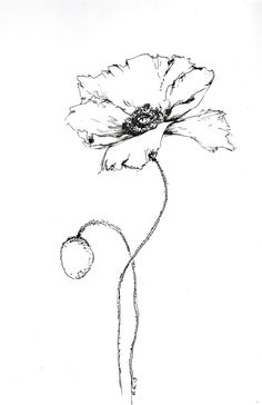 a black and white drawing of a flower on a white background, with the petals still attached