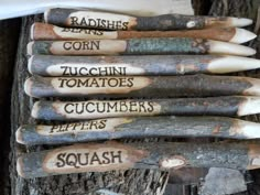 several different types of wood carved into the trunk of a tree with words written on them