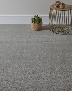 a grey carpet with a plant in the corner and a wire basket on the floor