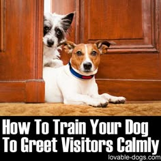 two dogs looking out from behind a door with the caption how to train your dog to greet visitors