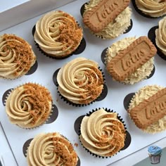 twelve cupcakes with frosting and peanut butter toppings in a white box