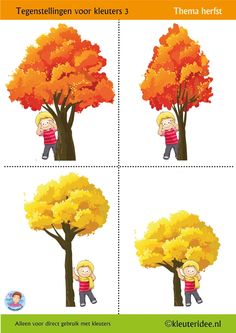 four different pictures showing the same person in front of a tree with leaves on it