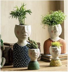 three ceramic pots with plants in them on a table next to books and a planter