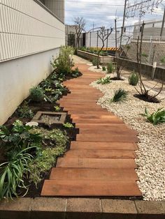 a wooden walkway in the middle of a garden with gravel and plants on both sides